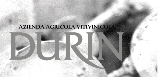 logo durin