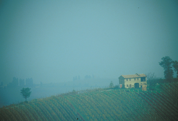 Vercesi del castellazzo view of the hill