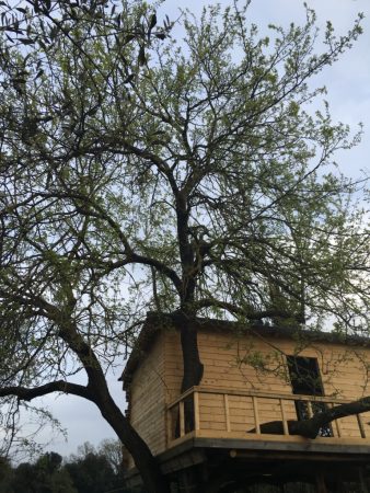 thumb_IMG_0465_1024